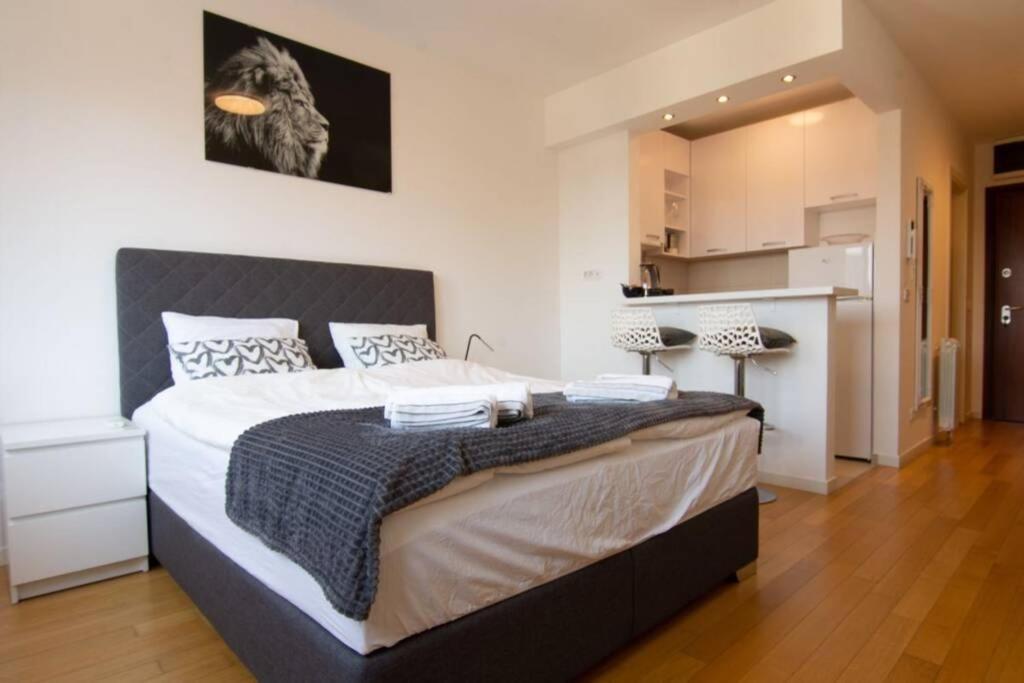 A Blok New Modern - Free Garage Parking, Comfortable, Quiet With A Park View Belgrado Exterior foto