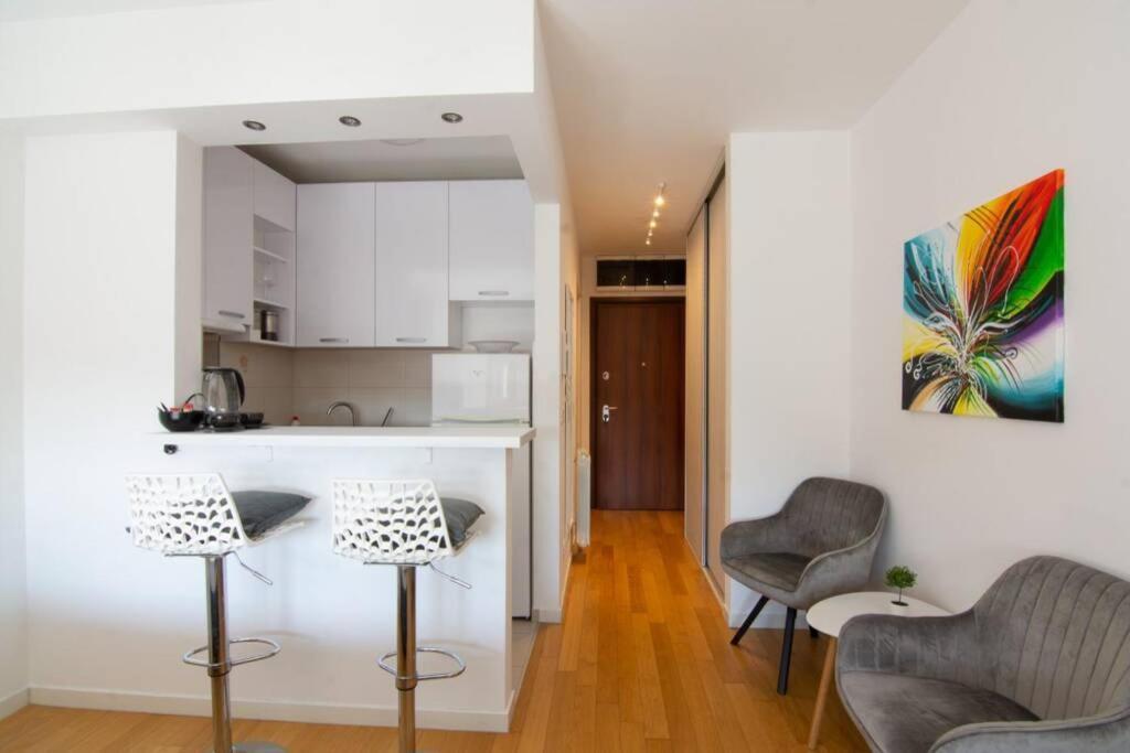 A Blok New Modern - Free Garage Parking, Comfortable, Quiet With A Park View Belgrado Exterior foto